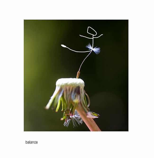 zzzzwer single seed 2.jpg