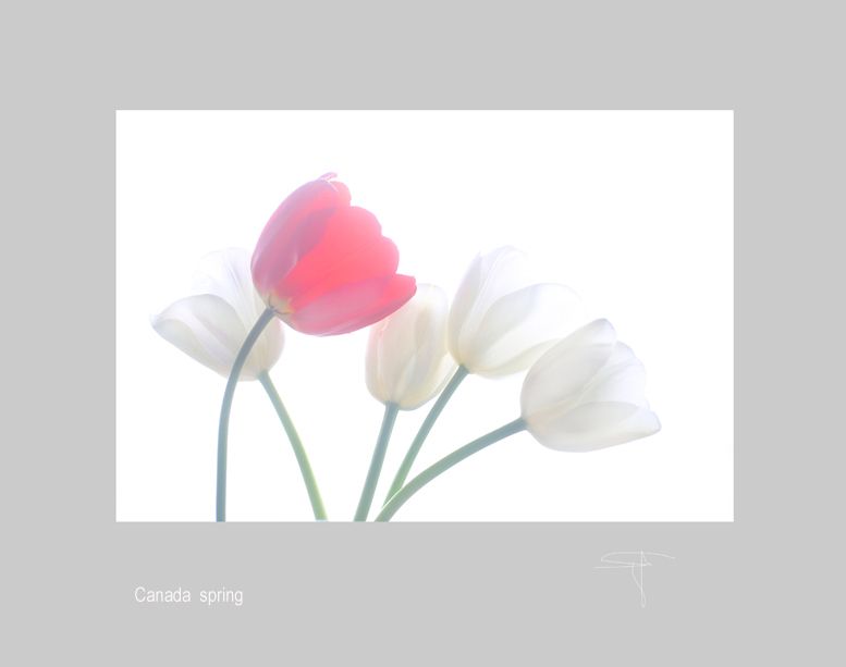 mail two lips A0193.jpg