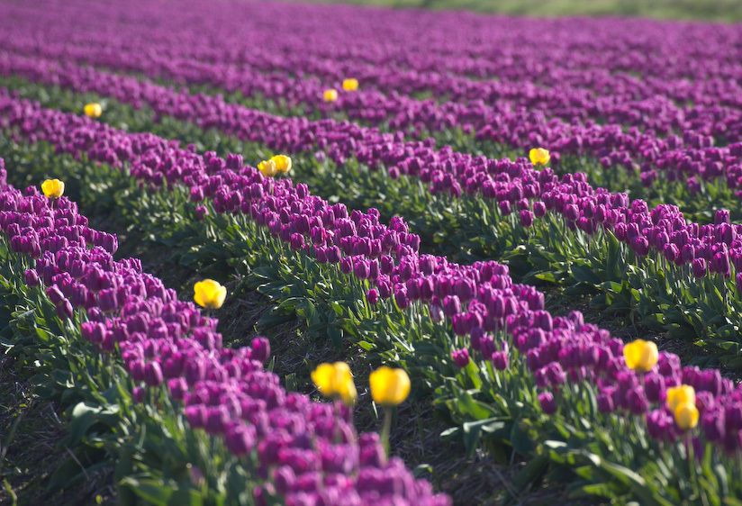 1usa_washington_728_2