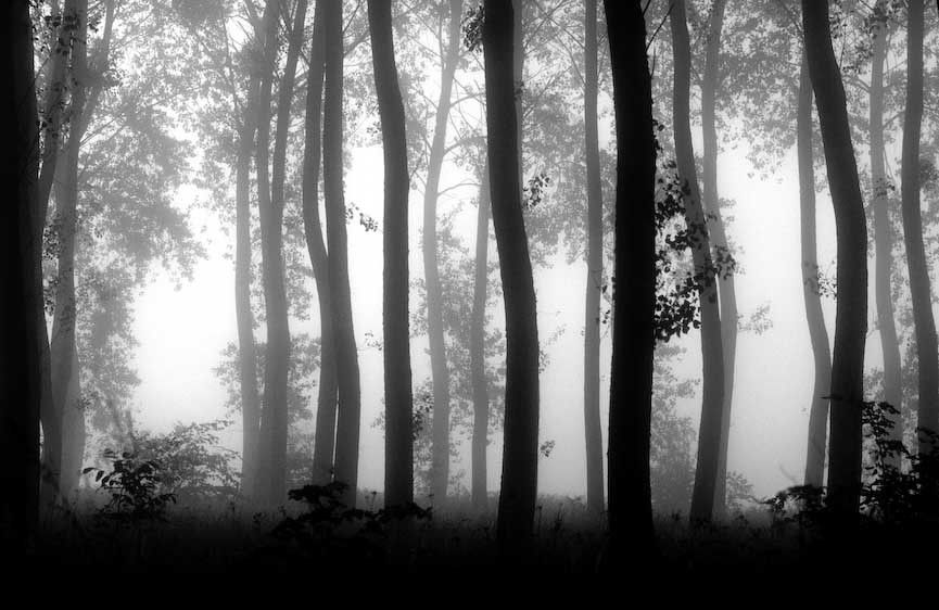 1France_Loire_Valley_foggy_BW_