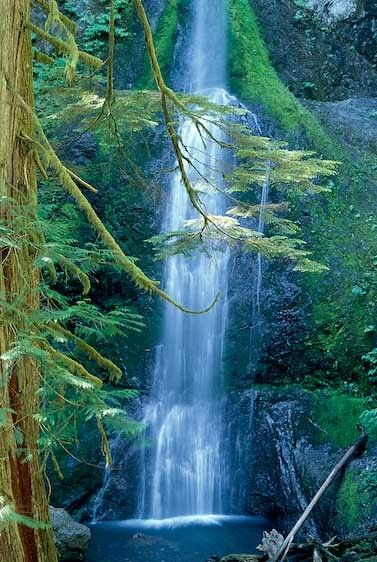 1USA_washington_waterfalls_olympics_