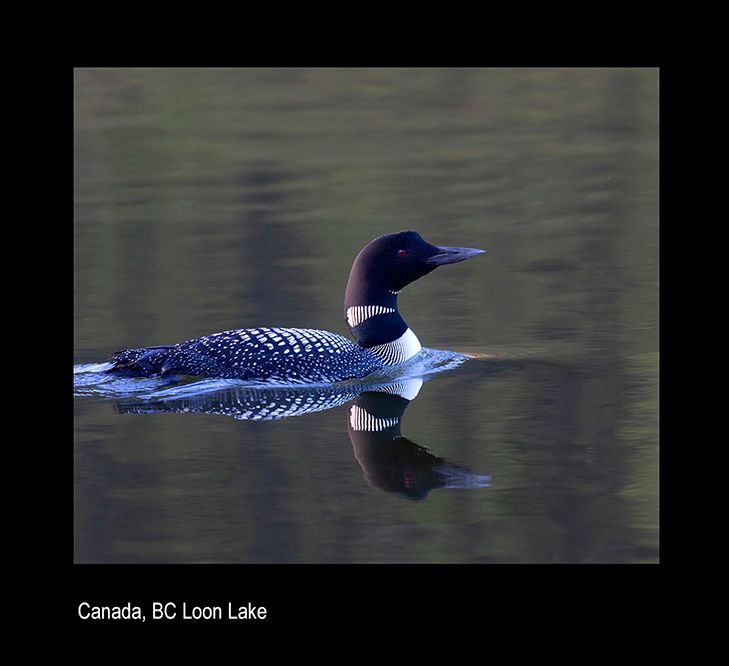 maila eloon klma.jpg