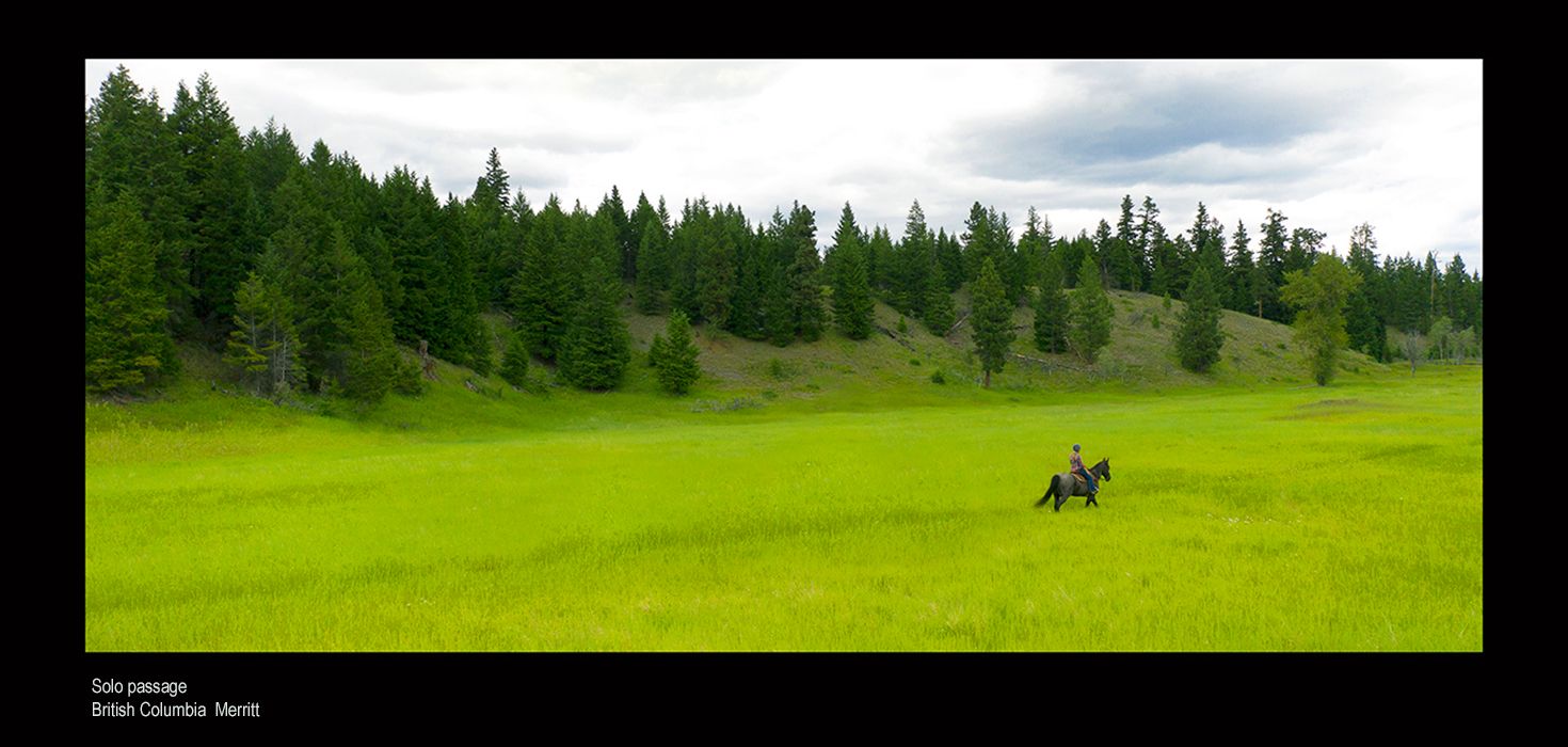 web ada merritt gbhome0144.jpg