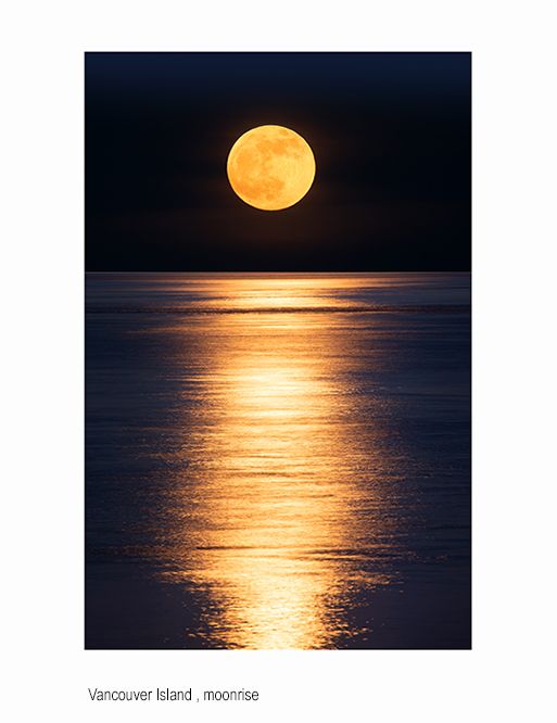 zzzznew n improveddtitled-1.jpg