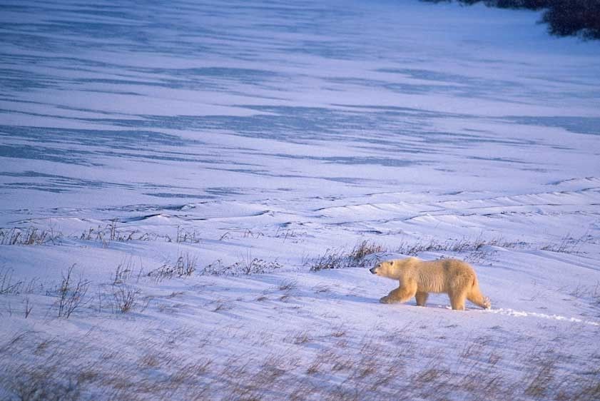 1Canada_Churchill_Falls_10_