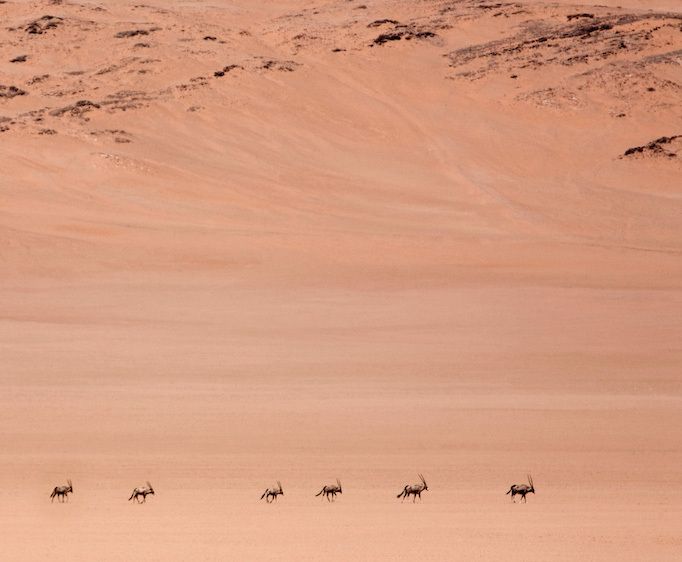 1namibia_desert_north_orxyz