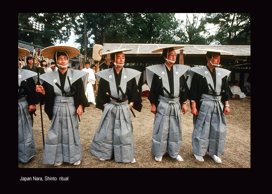 webs copyapuupcmb0239.jpg