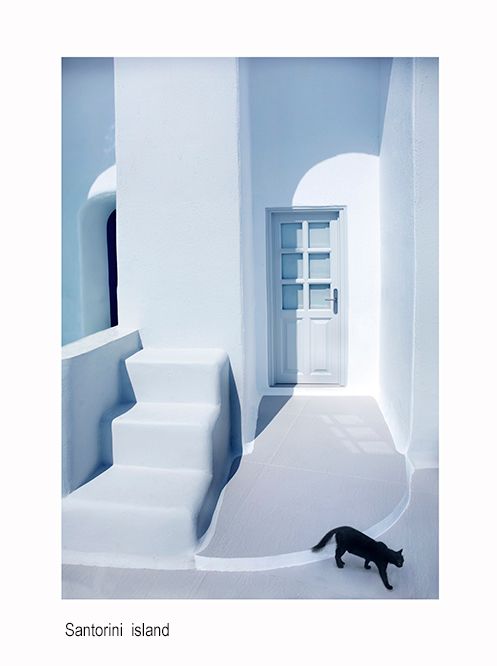 111111greece blucat 222e.jpg