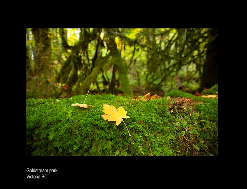 web ada rain A0929.jpg