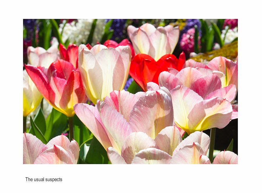 zzzzada ccc bvvacaaaA4025.jpg