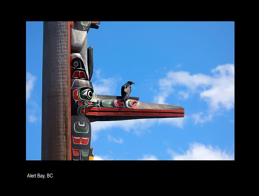 aaaaaacanada sdf .jpg