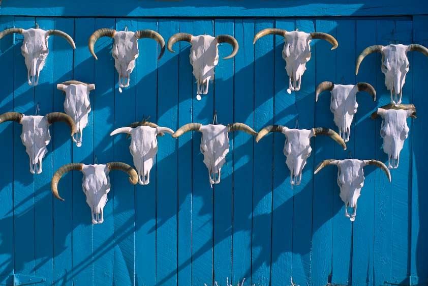 1USA_New_mexico_skulls_