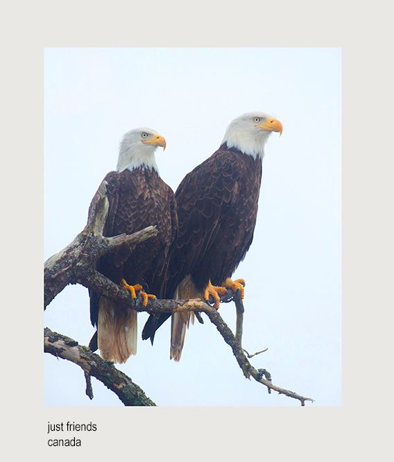 aaaaabvnoff 2L0A8424.jpg