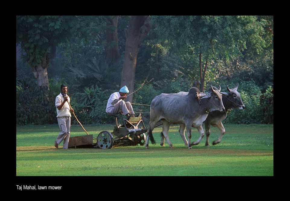 aaaamailominkdia .jpg