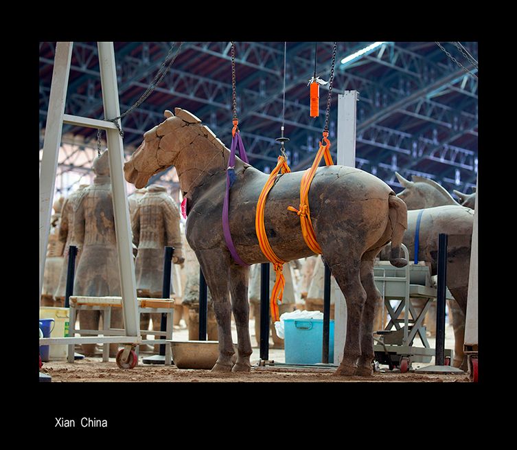 maiswinging horse.jpg