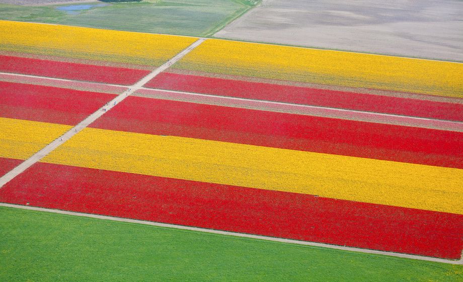 1usa_washington__9594_2