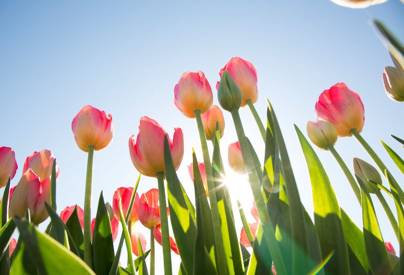 1usa_washington_a9858_2