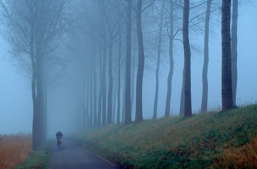 1holland_bicycling_fog