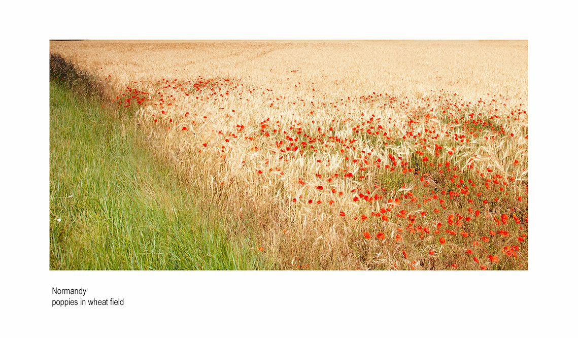 zzznceoff 5679376 1.jpg