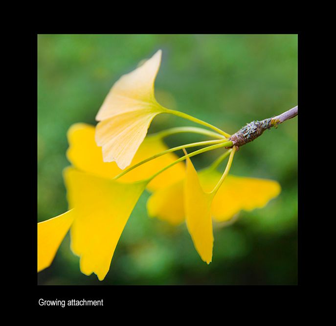 zzzzda print L0A8627.jpg