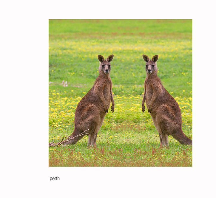 okokok stralia twins .jpg