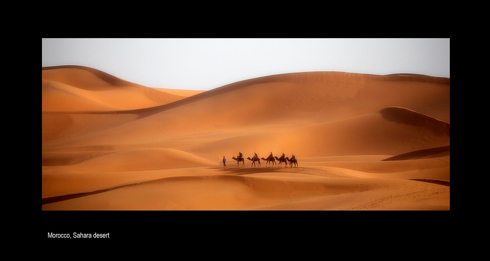 mailoa orocco bghf41651.jpg