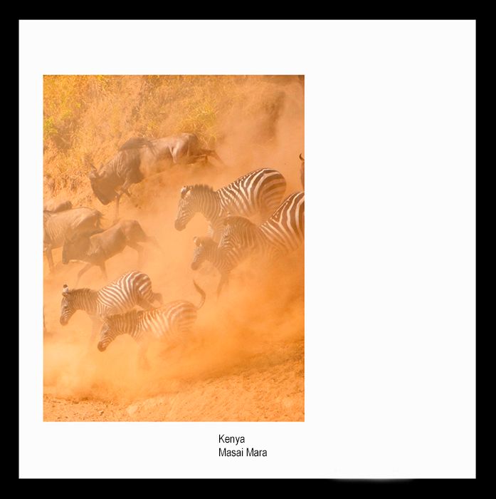 mail111   Kenya Migration Masai Mara.jpg