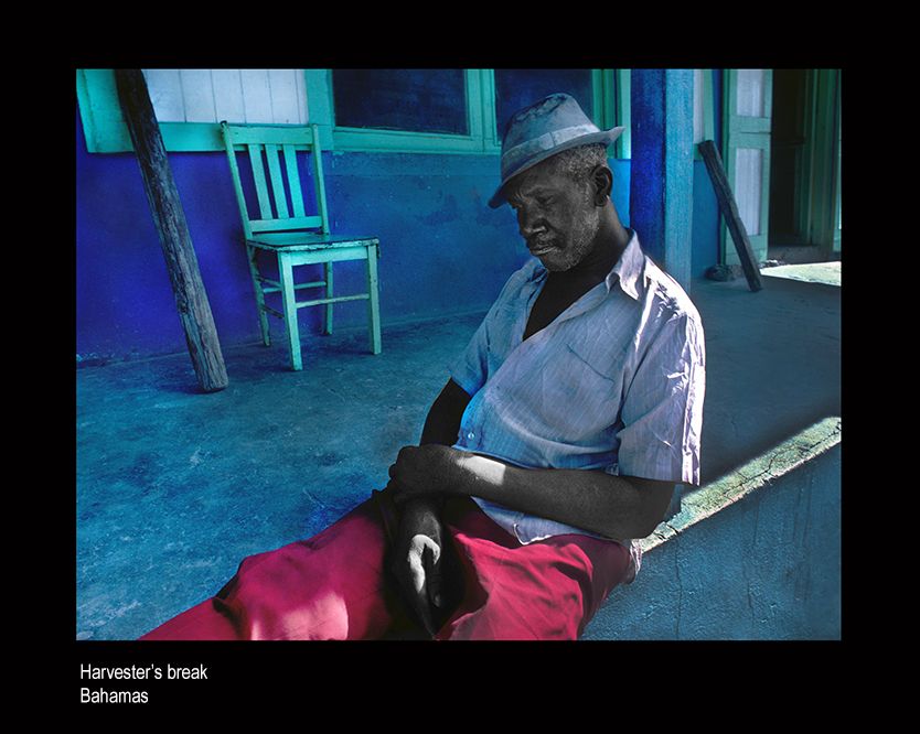 zzzzzas 0006 copy.jpg