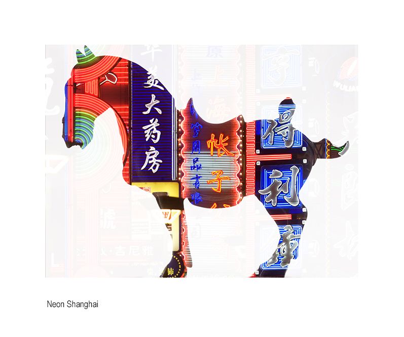aaaaachina horse neon shan.jpg