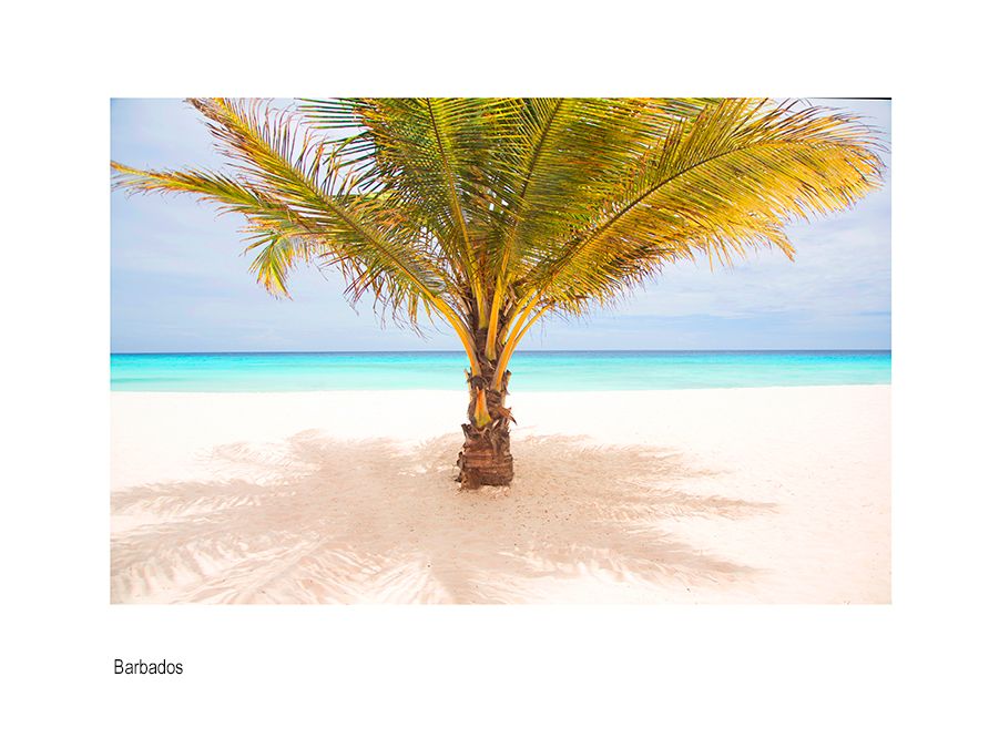 aaaaabeach scene caribbean 2L0A6107 copy.jpg