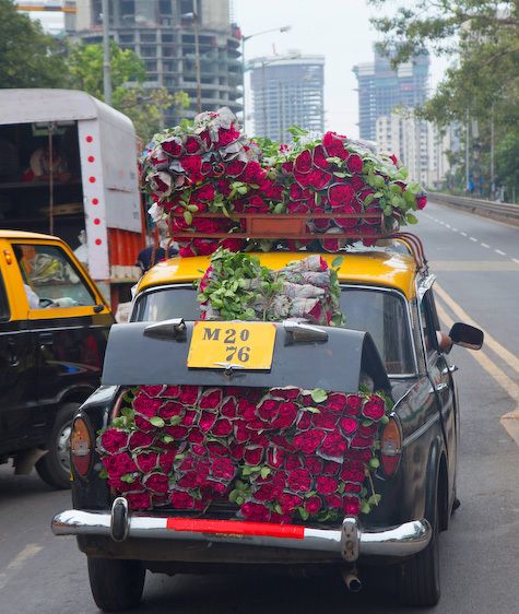 1india_roses_ia_2l0a9518_1_1