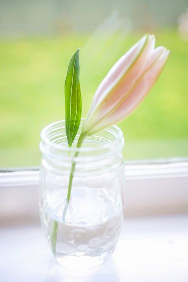 1flowers_in_glass_jar_window_
