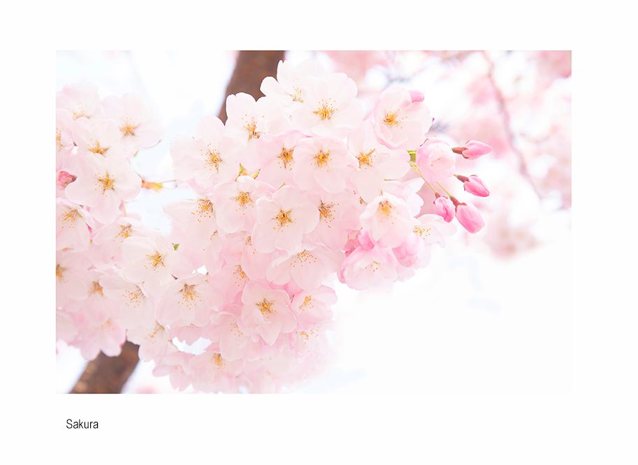 zzzzda avaca3A3982.jpg