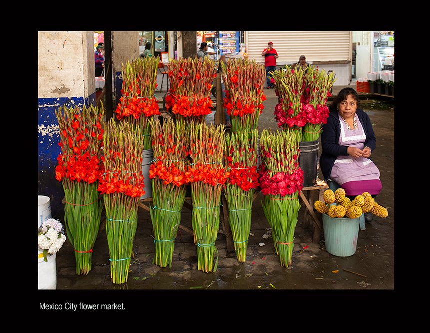 web ssailaaa xico fvg.jpg