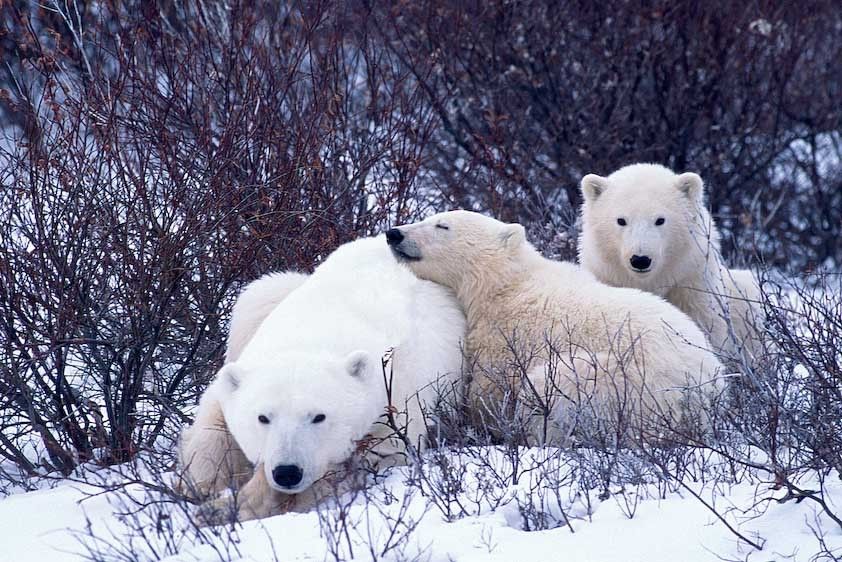 1Canada_Churchill_Falls_12