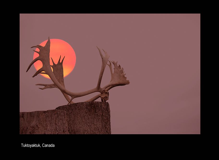 aaaaacanmada nwt tuk 44.jpg