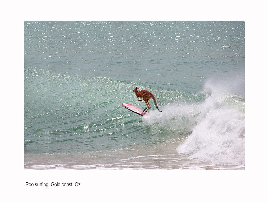 okokokmnare u kidding ?.jpg