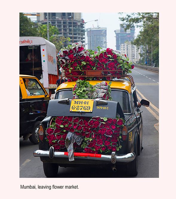 mail roses ia 2L0A9518 1.jpg