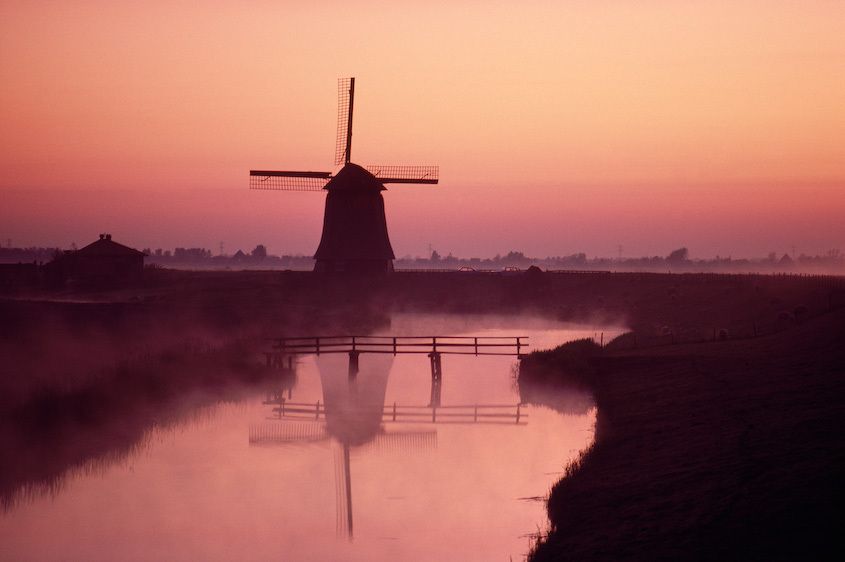 1Holland_Damme_2