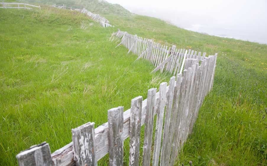 1Canada_Newfoundland_fence
