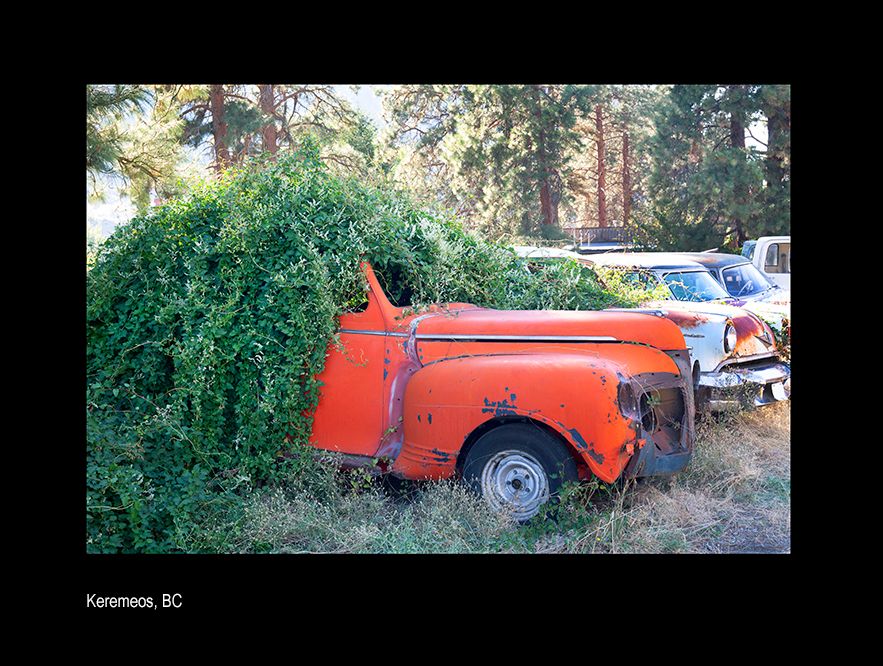 aaaacanada sgtsyhbs.jpg