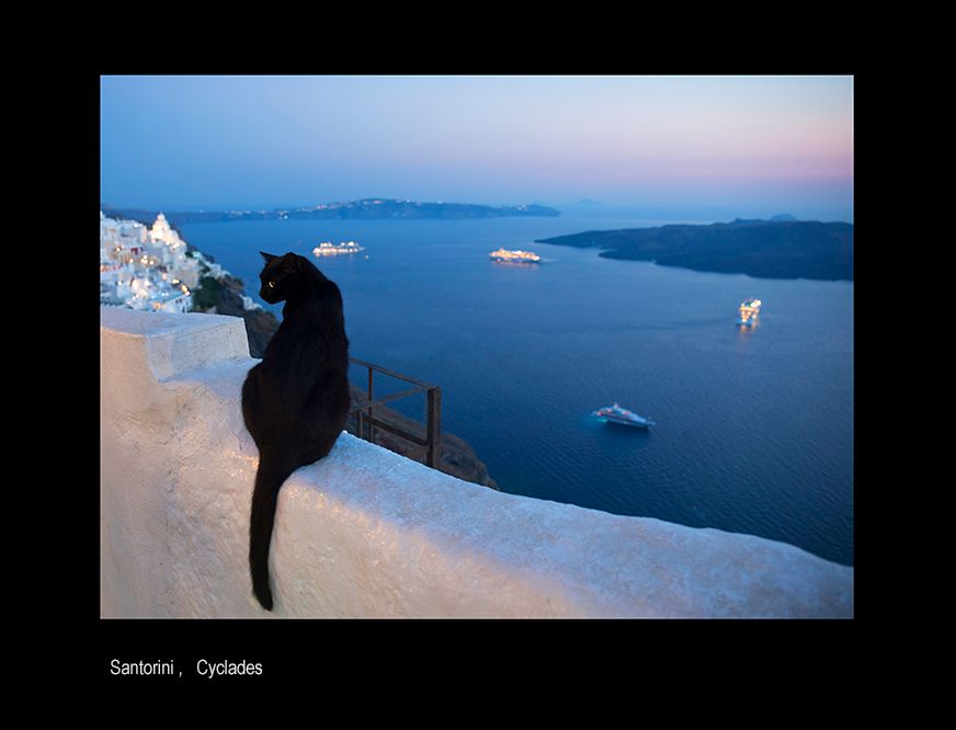 1111greece catgb.jpg