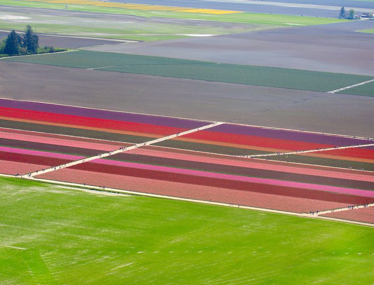 1usa_washington_a9663_2