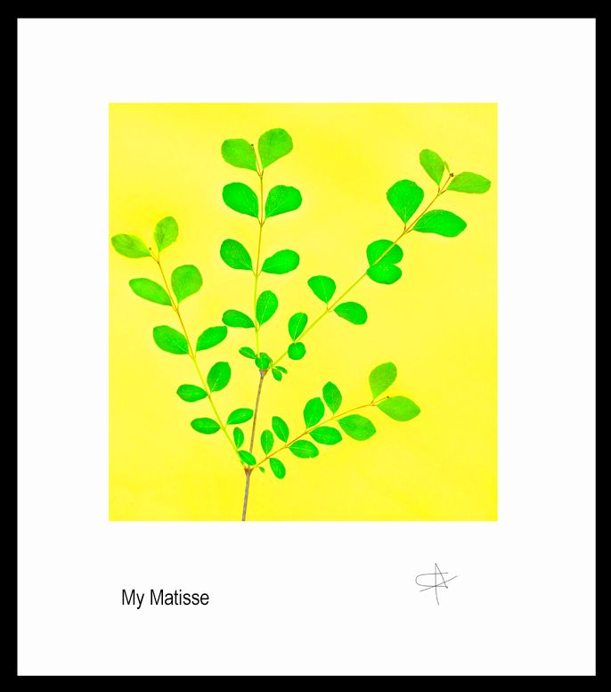 matisse mail 0583.jpg