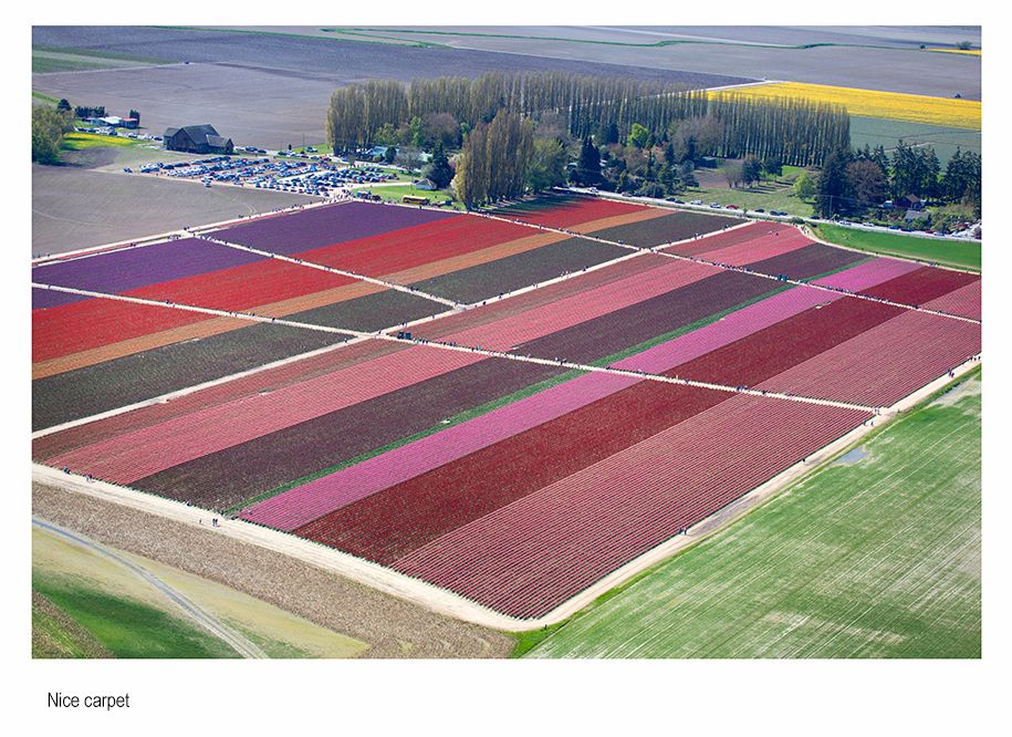 zzzz washington 9642.jpg