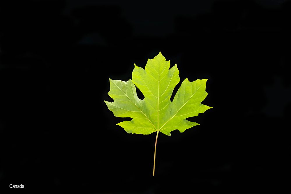 website bmail nada A4615.jpg