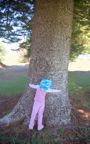 1Australia_Perth_tree_hugger