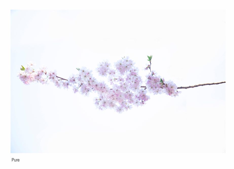 zzzzda acahdffgdfeheee.jpg