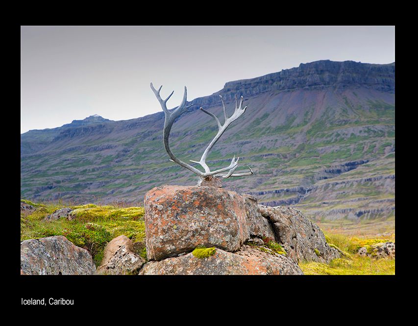 aaaaammmailopa7ha .jpg