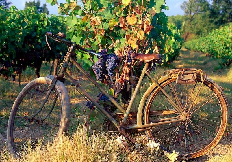 1france_old_bicycle_13x19